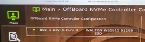 Walton 512GB NVMe M.2 SSD WS2512 Fast Gen3 Drive