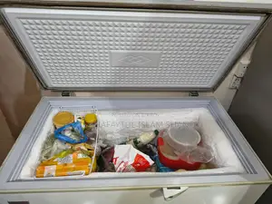 Singer Freezer (205 Liter)