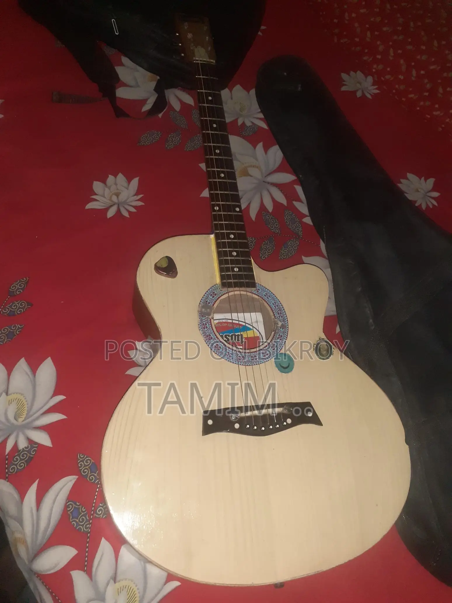 Guitar