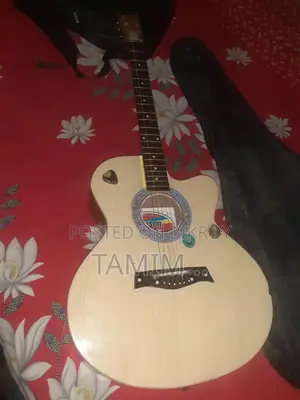 Guitar