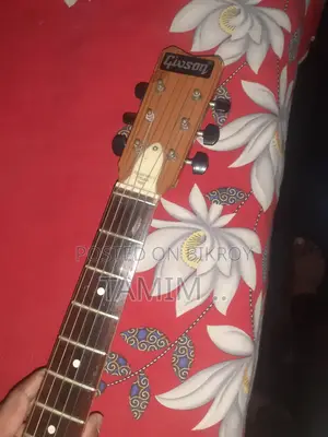 Guitar