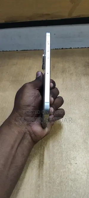 Apple iPhone 12 Pro Max (Used)