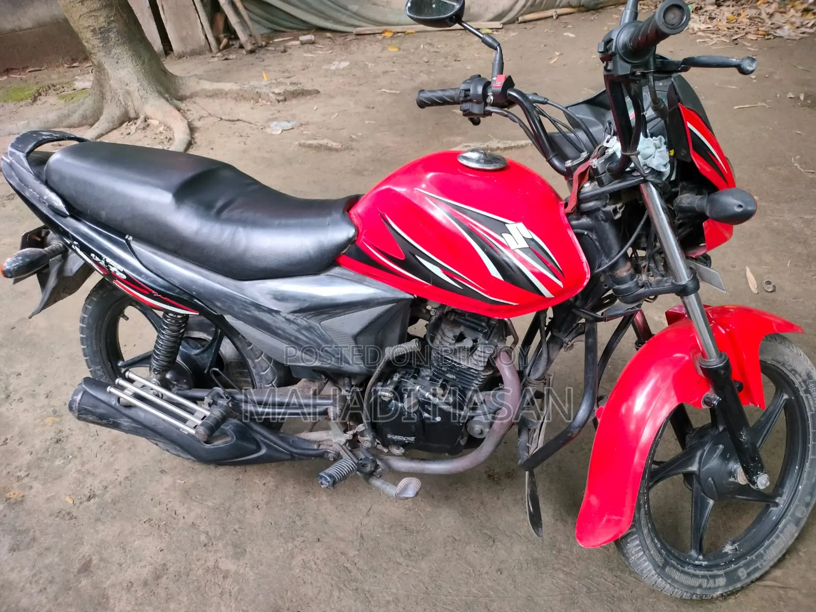 Suzuki Hayate 2016