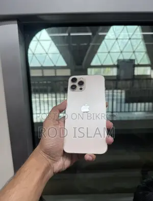Apple iPhone 12 Pro Max . (Used)