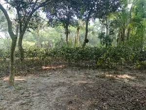 10 decimal land suitable for building a house for sale