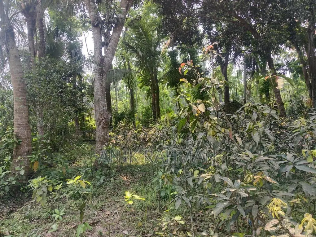 10 decimal land suitable for building a house for sale