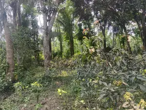 10 decimal land suitable for building a house for sale
