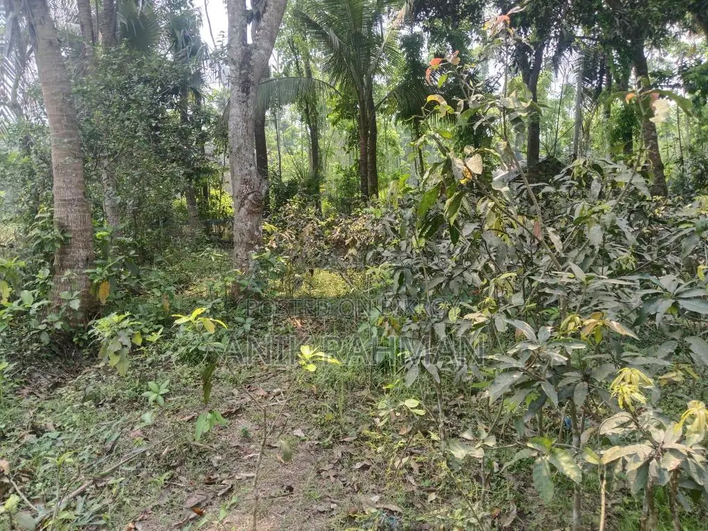 10 decimal land suitable for building a house for sale