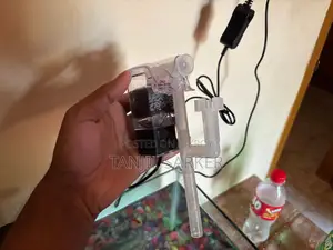Aquarium with fish, light, and water cleaning machine