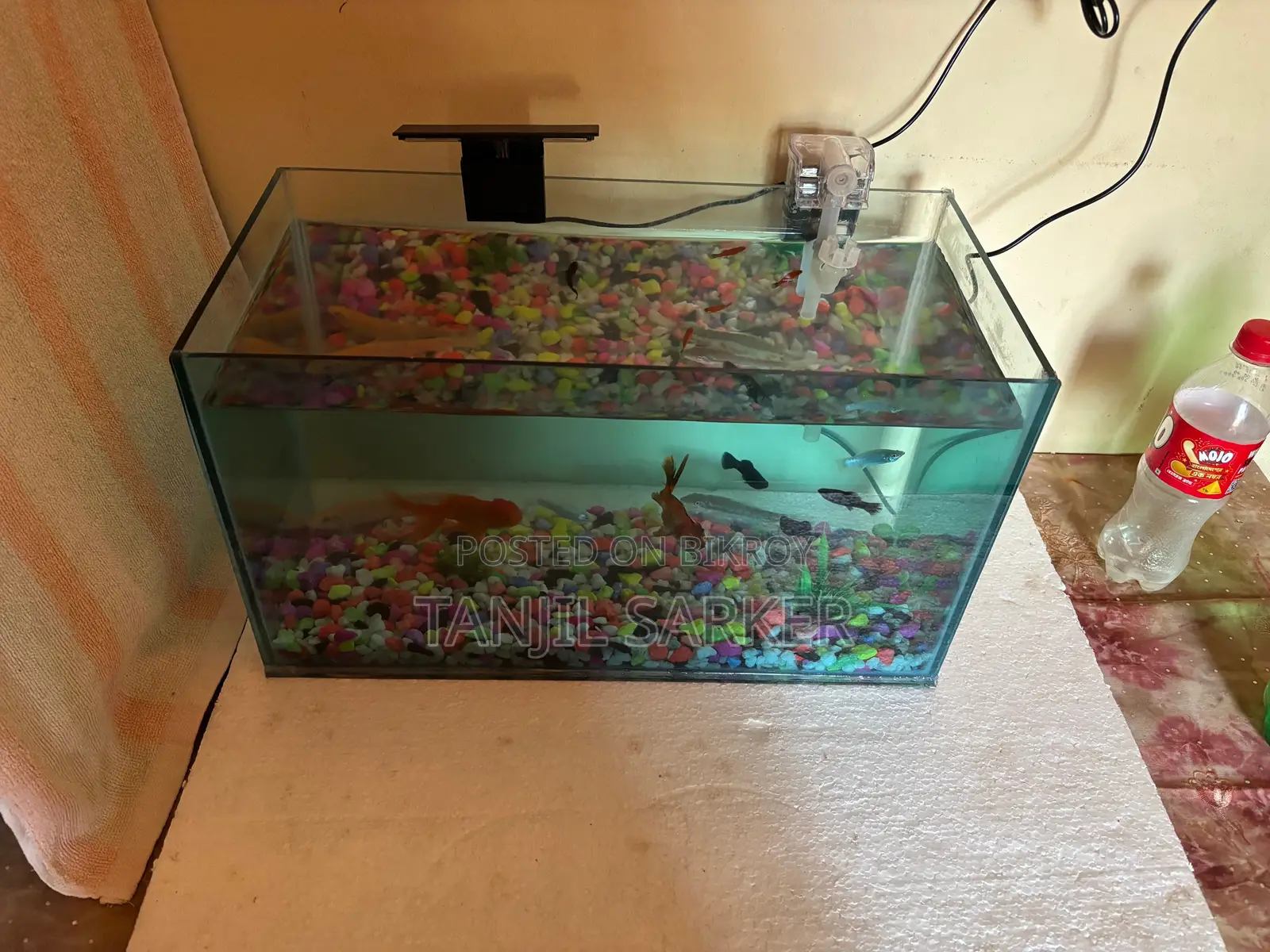 Aquarium with fish, light, and water cleaning machine