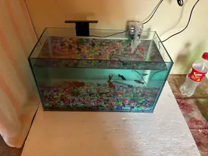 Aquarium with fish, light, and water cleaning machine