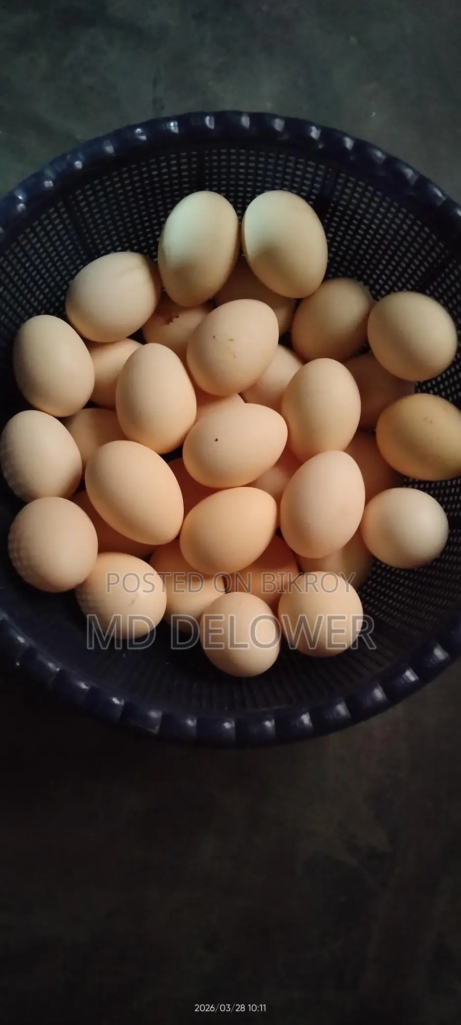 Deshi Chicken Hatching Eggs