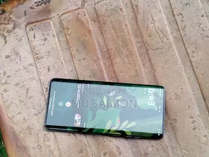 Motorola Edge 60 Fusion 8/256 (Used)