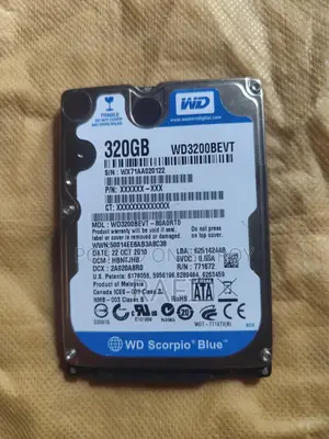 Laptop Hard Disk 320 GB Full Fresh
