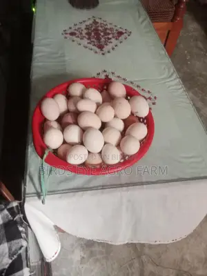 বীজ ডিম বিক্রি