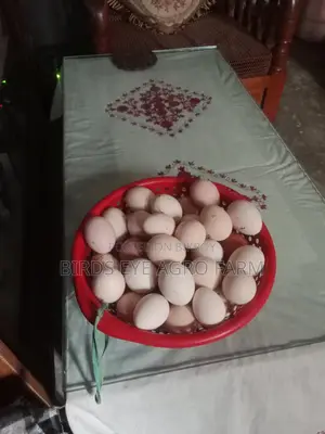 বীজ ডিম বিক্রি