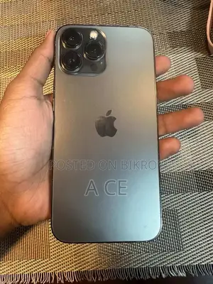 Apple iPhone 13 Pro Max . (Used)