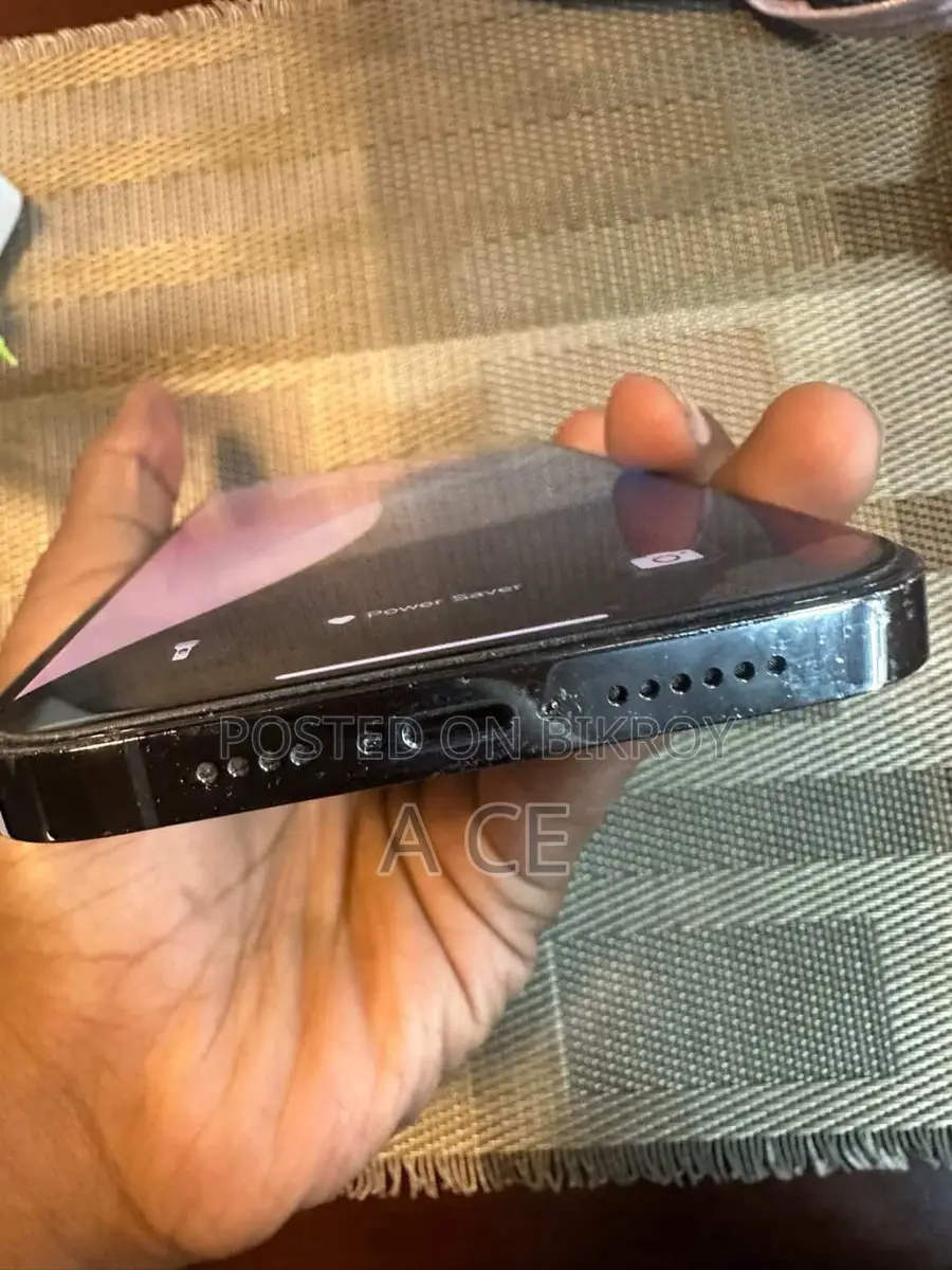 Apple iPhone 13 Pro Max . (Used)