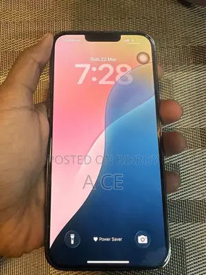 Apple iPhone 13 Pro Max . (Used)