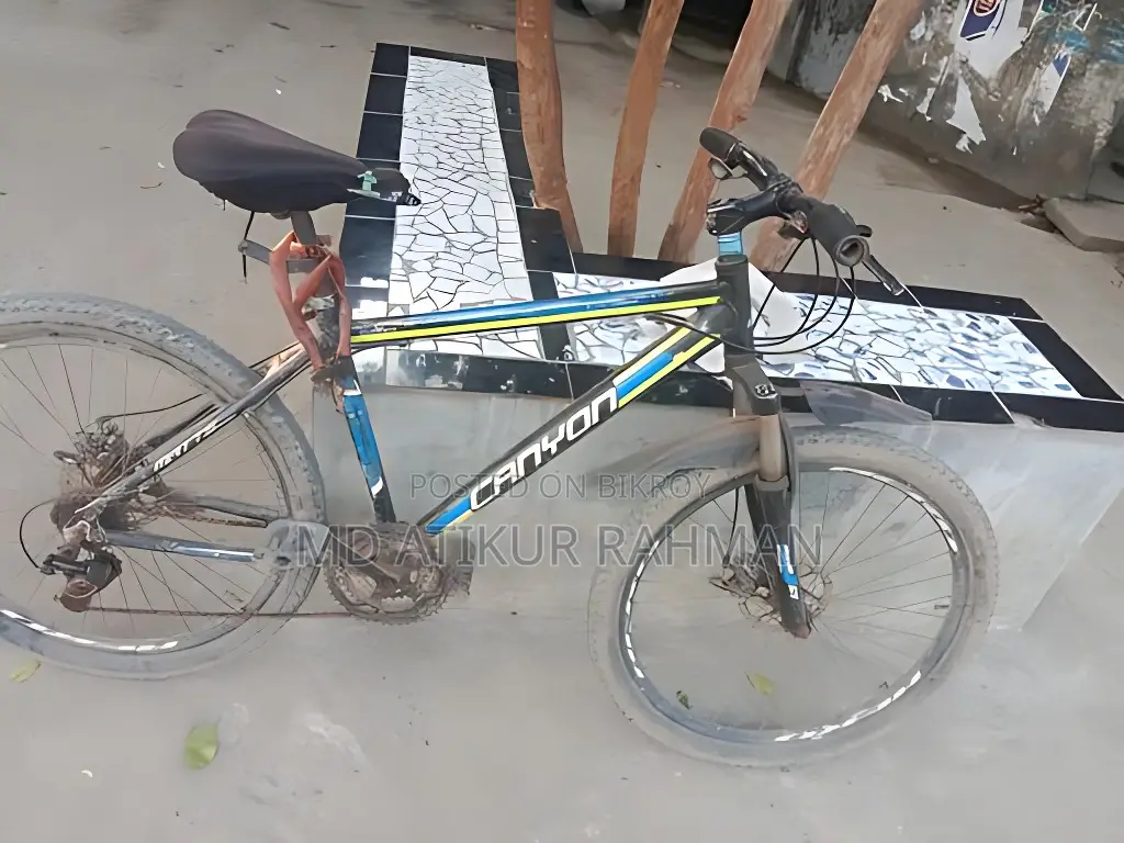 Comfort Use Bicycle