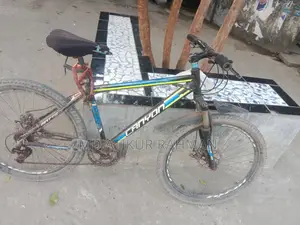 Comfort Use Bicycle