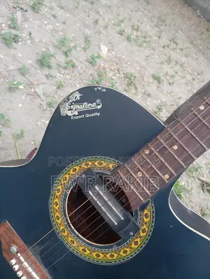 Signature Guitar