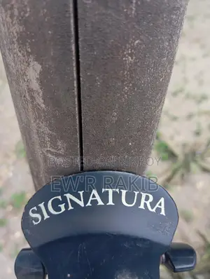 Signature Guitar