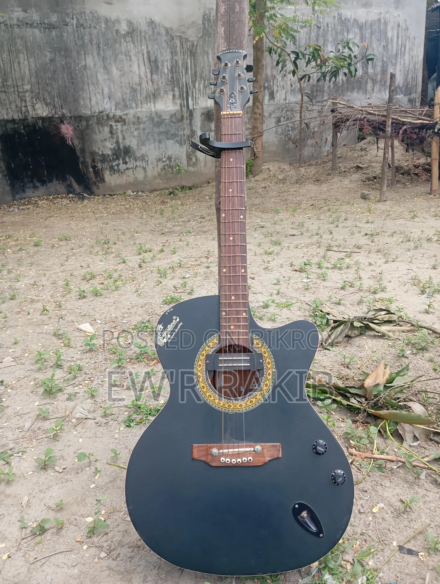 Signature Guitar
