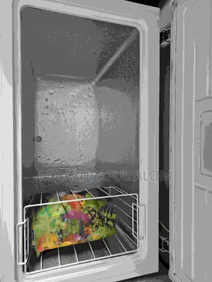 Sharp Chest Freezer