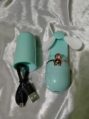 Mini Fan