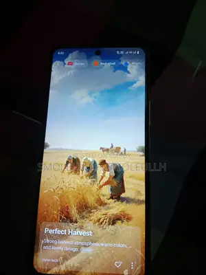Vivo Y19s ৬/১২৮ (Used)