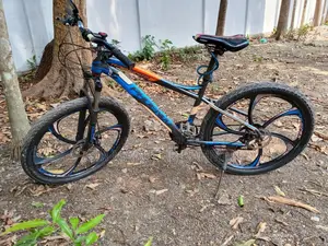 Phoenix Raptor