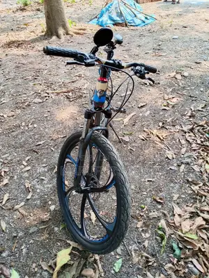 Phoenix Raptor