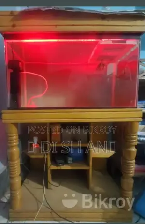 Aquarium