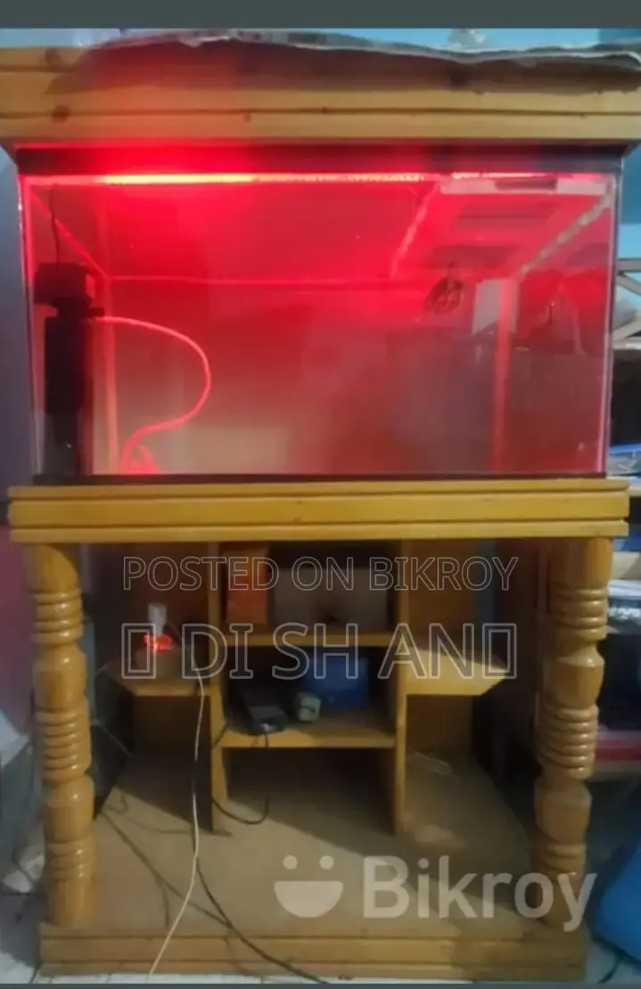 Aquarium