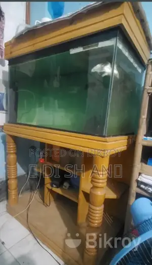 Aquarium
