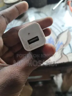 Original iPhone Charger