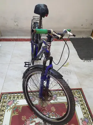The bicycle will be sold