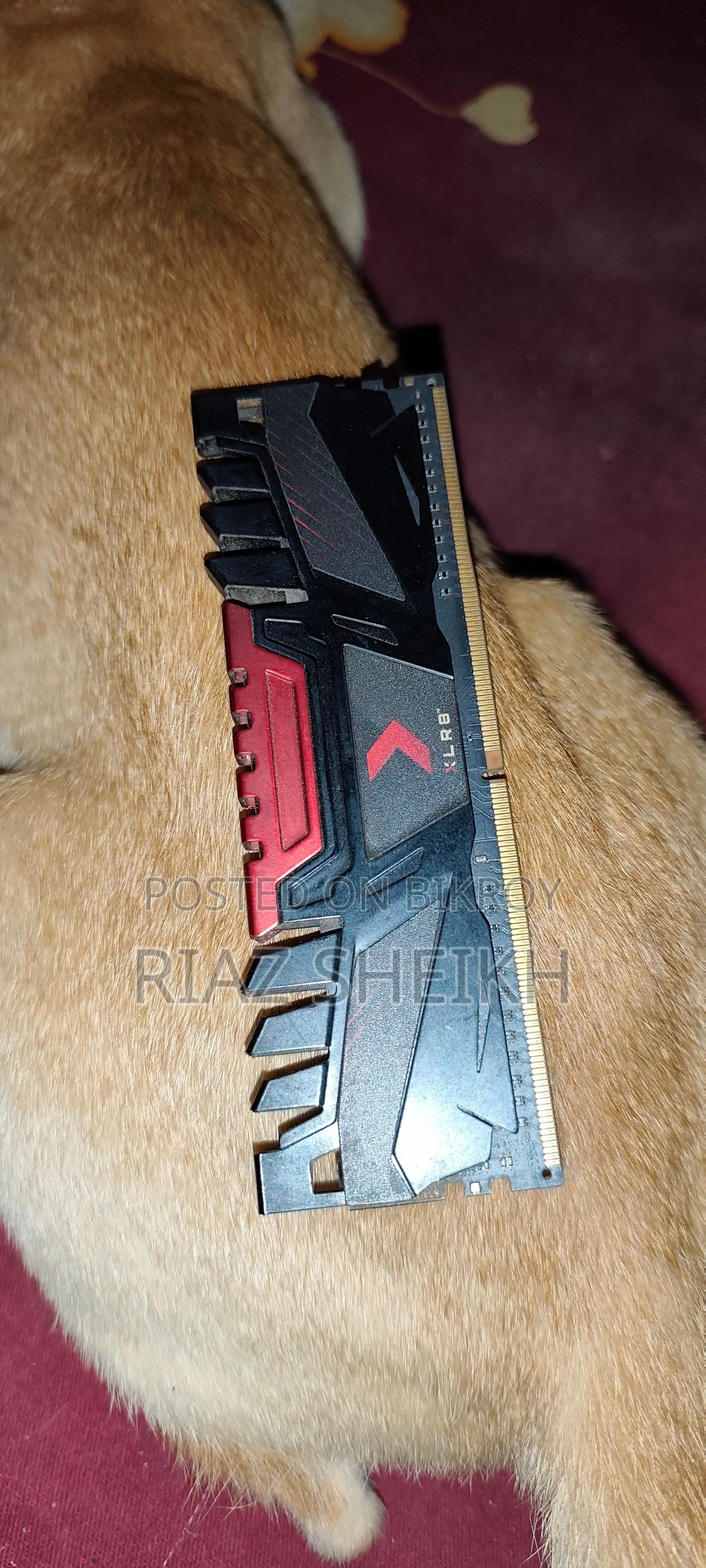 Pny 8gb Ddr4 Ram 3200mhz