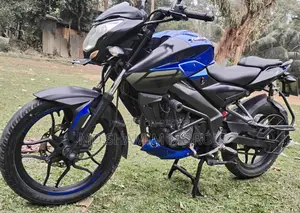 Bajaj Pulsar NS 160 Dual Disc 2020