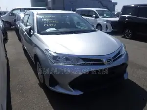 Toyota Axio Non Hybrid EX Silver 2020