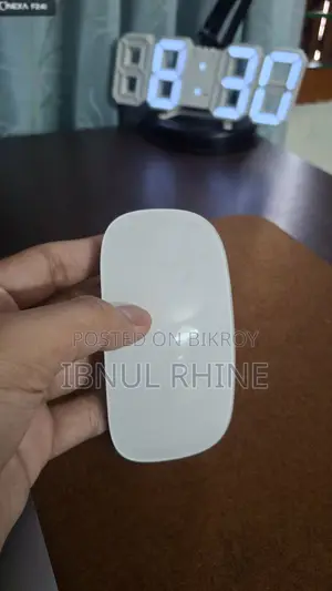 Wiwu মাউস