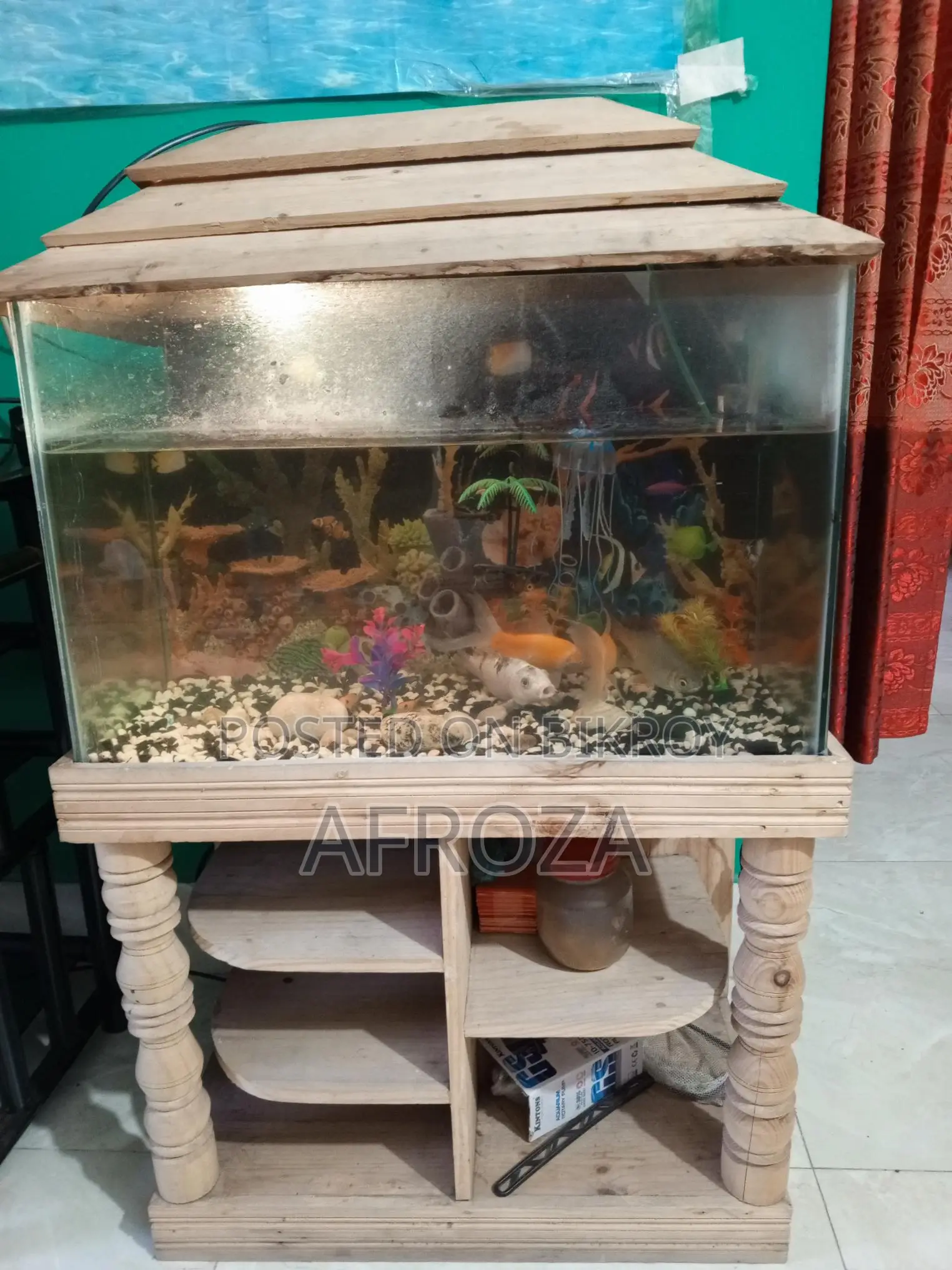 Fish with Aquarium For Sell in Cheap Price