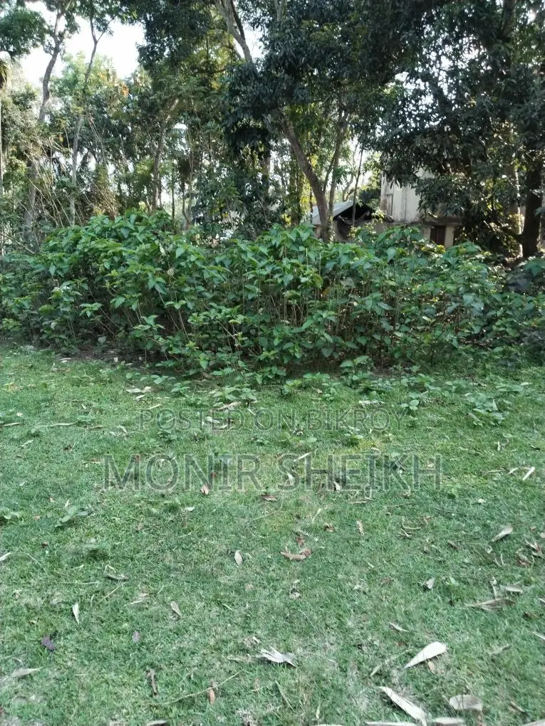মেইন রোডের ২ ফ্লট পরের জমি, জমির সামনে ১০ ফুটের রাস্তা আছে