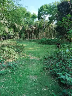 মেইন রোডের ২ ফ্লট পরের জমি, জমির সামনে ১০ ফুটের রাস্তা আছে