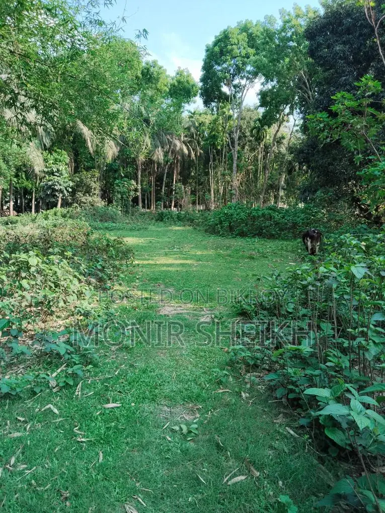 মেইন রোডের ২ ফ্লট পরের জমি, জমির সামনে ১০ ফুটের রাস্তা আছে