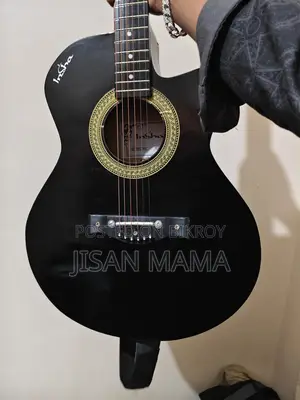 Insha Brand Guitar