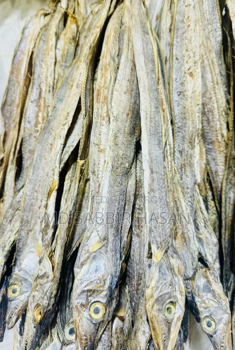 ছুড়ি সুটকি বড় সাইজ