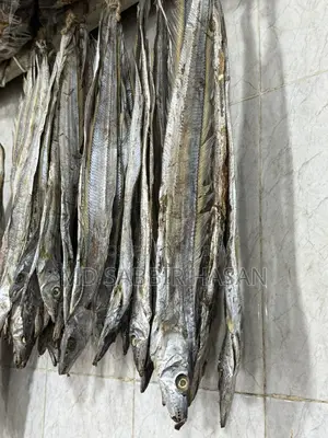 ছুড়ি সুটকি বড় সাইজ