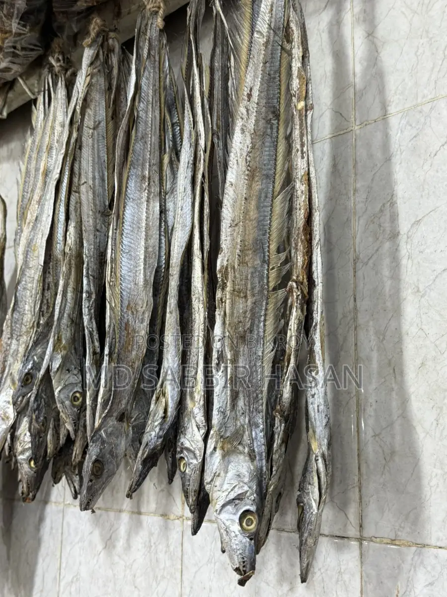 ছুড়ি সুটকি বড় সাইজ